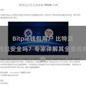 Bitpie钱包用户 比特派钱包安全吗？专家详解其全面优势