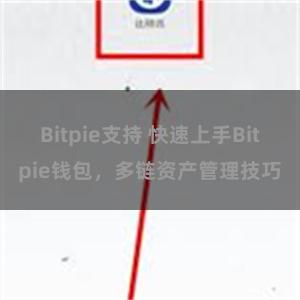 Bitpie支持 快速上手Bitpie钱包，多链资产管理技巧