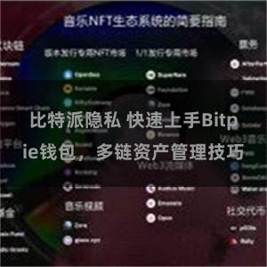 比特派隐私 快速上手Bitpie钱包，多链资产管理技巧