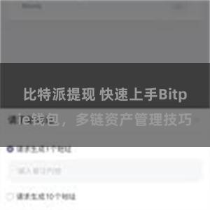 比特派提现 快速上手Bitpie钱包，多链资产管理技巧