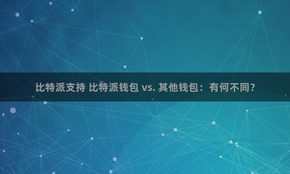 比特派支持 比特派钱包 vs. 其他钱包：有何不同？