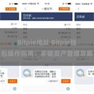 Bitpie地址 Bitpie钱包操作指南：多链资产管理攻略