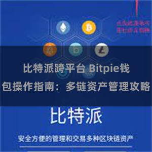 比特派跨平台 Bitpie钱包操作指南：多链资产管理攻略