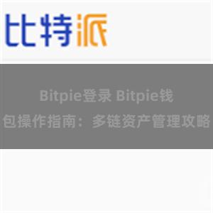 Bitpie登录 Bitpie钱包操作指南：多链资产管理攻略