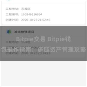 Bitpie交易 Bitpie钱包操作指南：多链资产管理攻略