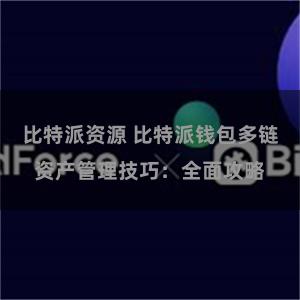 比特派资源 比特派钱包多链资产管理技巧：全面攻略