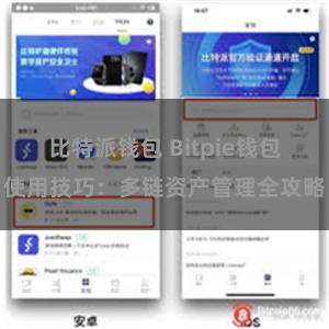 比特派钱包 Bitpie钱包使用技巧：多链资产管理全攻略