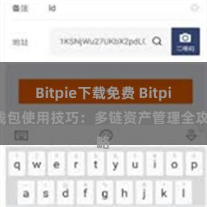 Bitpie下载免费 Bitpie钱包使用技巧：多链资产管理全攻略