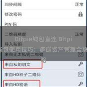 Bitpie钱包直连 Bitpie钱包使用技巧：多链资产管理全攻略