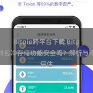 Bitpie跨平台下载 Bitpie钱包冷存储功能安全吗？解析与评估