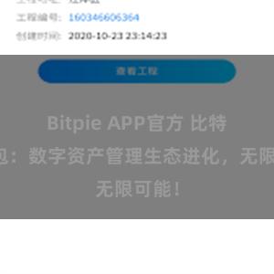 Bitpie APP官方 比特派钱包：数字资产管理生态进化，无限可能！