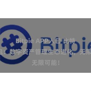 Bitpie APP入口 比特派钱包：数字资产管理生态进化，无限可能！