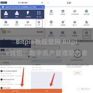 Bitpie教程官网 Bitpie钱包：数字资产管理助力者