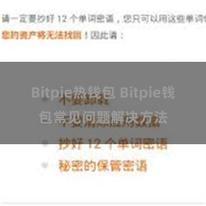 Bitpie热钱包 Bitpie钱包常见问题解决方法