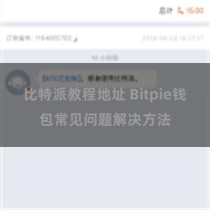 比特派教程地址 Bitpie钱包常见问题解决方法