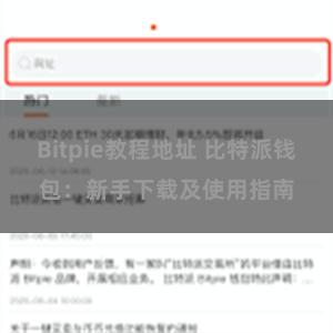 Bitpie教程地址 比特派钱包：新手下载及使用指南