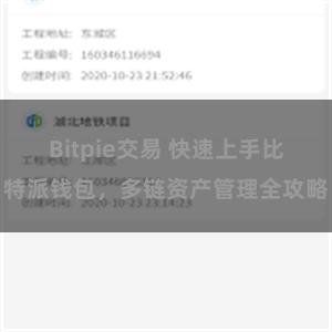 Bitpie交易 快速上手比特派钱包，多链资产管理全攻略