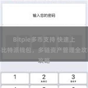 Bitpie多币支持 快速上手比特派钱包，多链资产管理全攻略