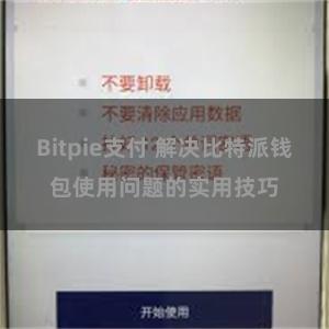 Bitpie支付 解决比特派钱包使用问题的实用技巧