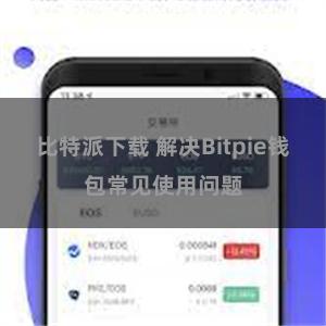 比特派下载 解决Bitpie钱包常见使用问题