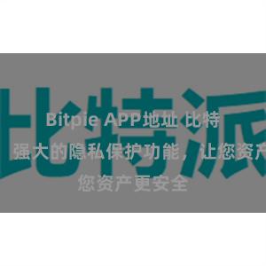 Bitpie APP地址 比特派钱包：强大的隐私保护功能，让您资产更安全