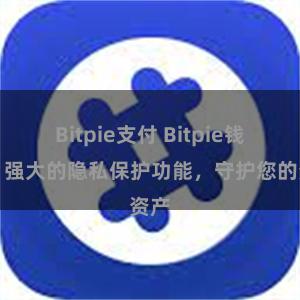 Bitpie支付 Bitpie钱包：强大的隐私保护功能，守护您的资产