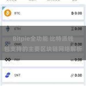 Bitpie全功能 比特派钱包支持的主要区块链网络解析