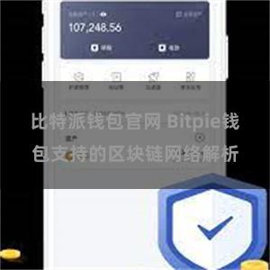 比特派钱包官网 Bitpie钱包支持的区块链网络解析