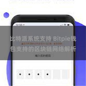 比特派系统支持 Bitpie钱包支持的区块链网络解析