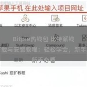 Bitpie热钱包 比特派钱包下载与安装教程：轻松学会，新手必看