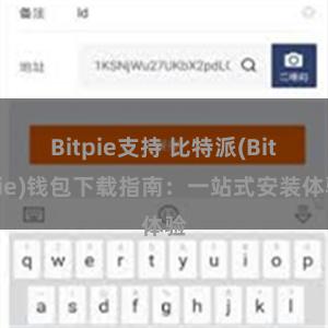 Bitpie支持 比特派(Bitpie)钱包下载指南：一站式安装体验