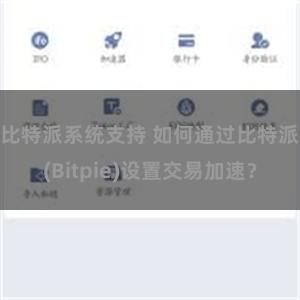 比特派系统支持 如何通过比特派(Bitpie)设置交易加速？