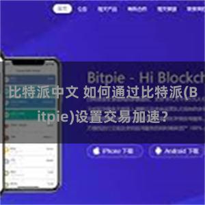 比特派中文 如何通过比特派(Bitpie)设置交易加速？