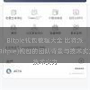 Bitpie钱包教程大全 比特派(Bitpie)钱包的团队背景与技术实力