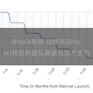 Bitpie转账 比特派(Bitpie)钱包的团队背景与技术实力