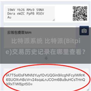 比特派系统 比特派(Bitpie)交易历史记录在哪里查看？