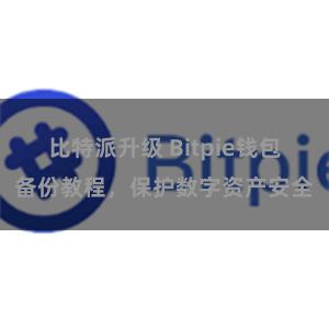 比特派升级 Bitpie钱包备份教程，保护数字资产安全