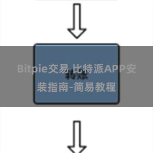 Bitpie交易 比特派APP安装指南-简易教程