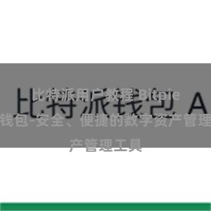 比特派用户教程 Bitpie在线钱包-安全、便捷的数字资产管理工具