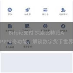 Bitpie支付 探索比特派APP神奇功能，解锁数字货币世界