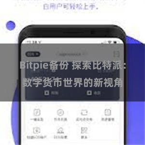 Bitpie备份 探索比特派：数字货币世界的新视角