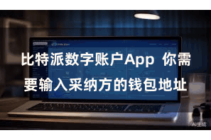 比特派数字账户App  你需要输入采纳方的钱包地址