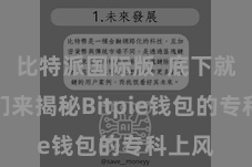 比特派国际版  底下就让咱们来揭秘Bitpie钱包的专科上风