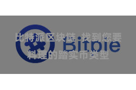 比特派区块链  找到您要料理的踏实币类型