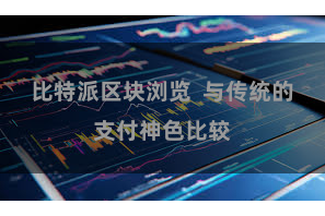 比特派区块浏览  与传统的支付神色比较