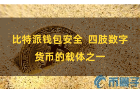 比特派钱包安全  四肢数字货币的载体之一