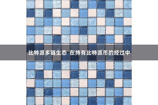 比特派多链生态  在持有比特派币的经过中