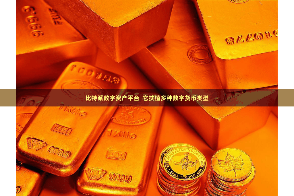 比特派数字资产平台  它扶植多种数字货币类型