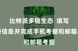 比特派多链生态  填写注册信息并完成手机考据和邮箱考据