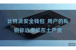 比特派安全钱包  用户的私钥弥远保抓在土产货